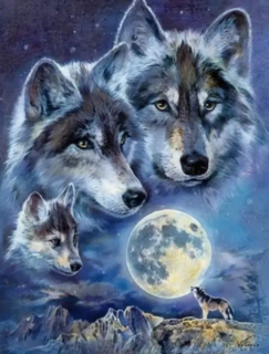 Diamond Painting Wölfe im Mondscheinlicht